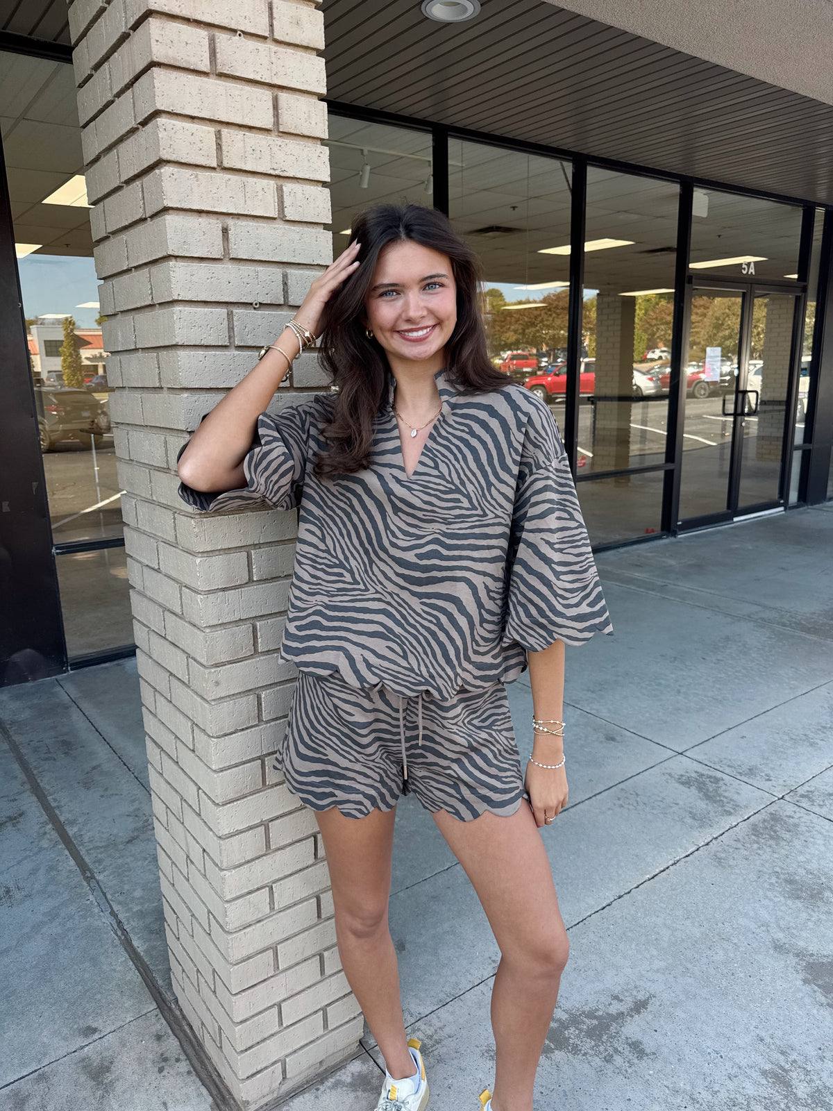Zebra Set