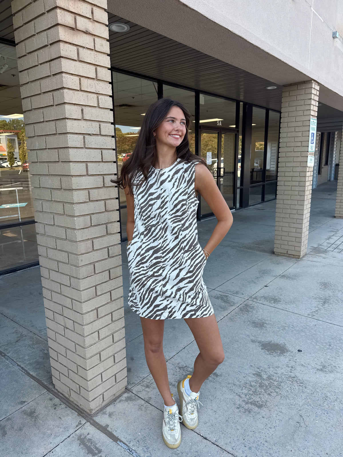 Zebra Dress