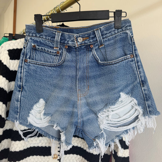 Vintage Denim Shorts