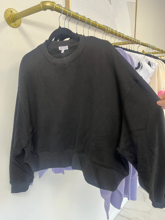 TCEC Cropped Sweatshirt