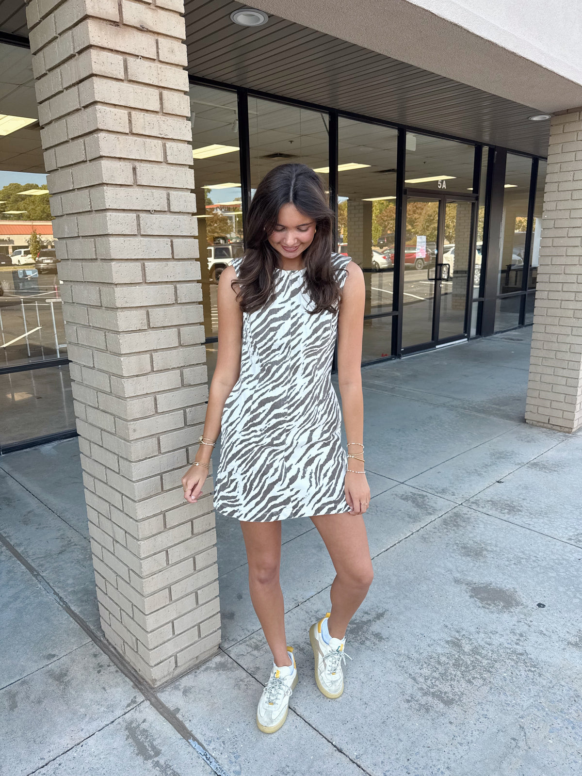 Zebra Dress